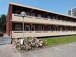 Dünenstern - Top-Hundeurlaub