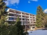 Astoria (287 Du) - Top-Hundeurlaub