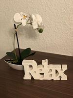 Sursilvana 18 (317 Ma) - Top-Hundeurlaub