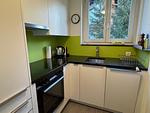 Selva B (372 Gr) *** - Top-Hundeurlaub