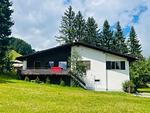 La Civetta (714 La) - Top-Hundeurlaub