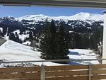 Sundrella (294 Bi) - Top-Hundeurlaub