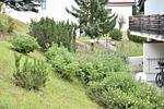 La Schmetta 38 (473 Wm) - Top-Hundeurlaub