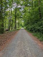 das hygellige Holzblockhaus
 Talblick 13 - Top-Hundeurlaub