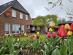 Ferienwohnung Pricke 3 Norddeich - Top-Hundeurlaub