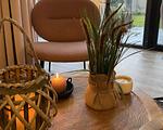 Dekoratives Detail - Enkhuizer Strandchalet mit Zaun Nr. 257 - Top-Hundeurlaub
