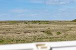 Meerblick - Wattkieker - Top-Hundeurlaub