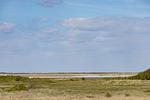 Meerblick - Wattkieker - Top-Hundeurlaub