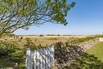 Gartenblick - Albatros - Top-Hundeurlaub
