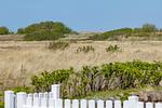 Gartenblick - Albatros - Top-Hundeurlaub