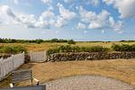 Gartenblick - Möwe - Top-Hundeurlaub