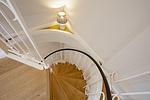 Dekoratives Detail - Adamaris - Top-Hundeurlaub