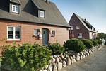 Hauptansicht - Bachstelze - Top-Hundeurlaub