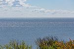 Meerblick - Strandhaus - Top-Hundeurlaub