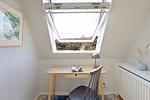 Dekoratives Detail - Fiftyfour Home - Top-Hundeurlaub