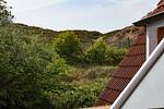 Gartenblick - Cap San Diego - Top-Hundeurlaub