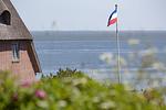 Meerblick - Mero Huis - Top-Hundeurlaub