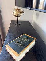 BeachHouse Odyssee Nr. 513 - Top-Hundeurlaub