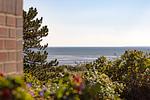 Offshore - Top-Hundeurlaub