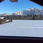 Landschaft - Ferienwohnung Chalet - Top-Hundeurlaub