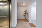 Ferienwohnung Mensel City 3 - Top-Hundeurlaub