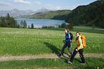 Weißensee © FTM_Gerhard Eisenschink - Appartement MB 06 - Top-Hundeurlaub