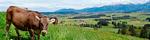Ortsansicht - Ferienwohnung Edelsbergblick - Top-Hundeurlaub