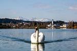 Lechsee - Ferienhaus Martin - Top-Hundeurlaub