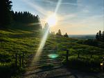 Wanderung auf den Buchenberg - Ferienhaus Martin - Top-Hundeurlaub