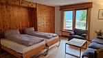Wohnzimmer mit Schrankbetten - 2½-Zimmerwohnung - Top-Hundeurlaub