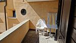geschützter, sonniger Balkon - 2-Zimmerwohnung - Top-Hundeurlaub