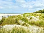 De Balken - 1 - Top-Hundeurlaub