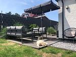 Inselmädchen - Lütt Heaven - Top-Hundeurlaub