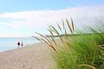 Strand - FeWo10: Balkon, Sauna, Schwimmbad - Top-Hundeurlaub