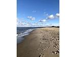 Strand - Ferienhaus Meersleuchten - Top-Hundeurlaub