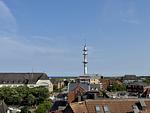 Meerblick - Seeluft - Top-Hundeurlaub