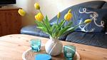 Wohnzimmer - Ferienhaus DünenRose - Top-Hundeurlaub