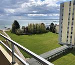 Meerblick - 2-53 - Top-Hundeurlaub