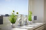 Dekoratives Detail - Meerblick I - Top-Hundeurlaub