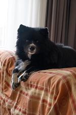 Hotel Fredensborgs Herrgård - Top-Hundeurlaub