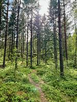 Hotel Fredensborgs Herrgård - Top-Hundeurlaub