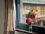 Dekoratives Detail - Ferienwohnung Isi-Blick für 4 bis zu Personen - Reiterferien - Top-Hundeurlaub