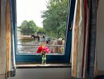 Wohnzimmer - Ferienwohnung Isi-Blick für 4 bis zu Personen - Reiterferien - Top-Hundeurlaub