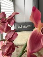 Dekoratives Detail - Apartment Lykke Lollfuß - Top-Hundeurlaub