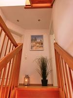 Dekoratives Detail - Achterblick - Top-Hundeurlaub