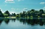 Landschaft - Ferienwohnung „Waterkant“ am Wittensee – viel Platz, Garten und Spielscheune - Top-Hundeurlaub