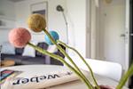 Dekoratives Detail - Haus Pusteblume Wohnung 4 - Top-Hundeurlaub