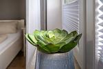 Dekoratives Detail - Haus Pusteblume Wohnung 4 - Top-Hundeurlaub