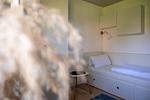 Dekoratives Detail - Haus Pusteblume Wohnung 4 - Top-Hundeurlaub