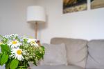 Dekoratives Detail - Haus Pusteblume Wohnung 1 - Top-Hundeurlaub